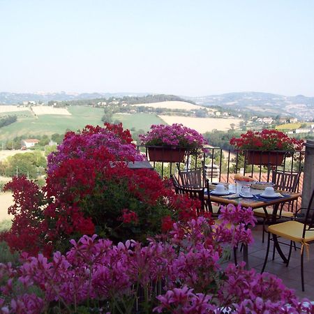 Bed and Breakfast La Terrazza Fio...Rita Ripa Экстерьер фото